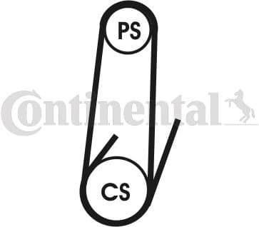 V-ribbed Belt 4PK1022ELAST