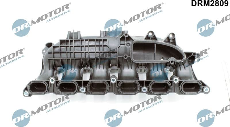 Intake Manifold Module DRM2809
