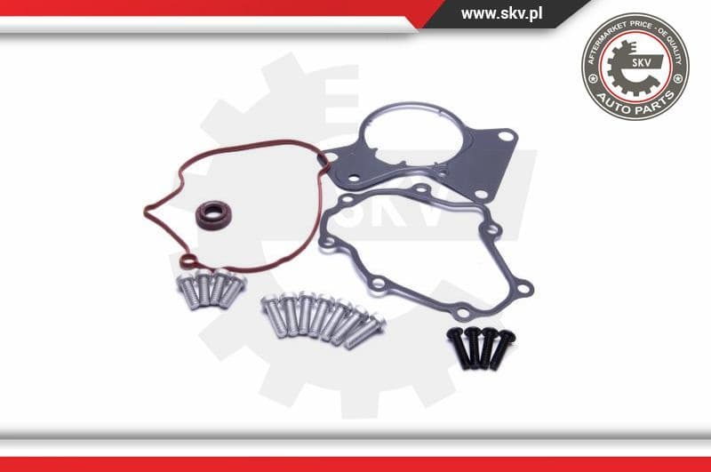 Repair Set, vacuum pump (braking system) 18SKV802 - image 2