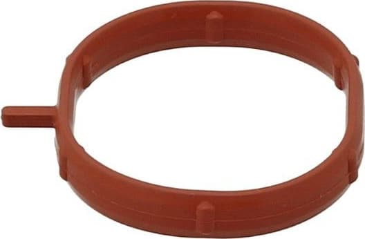 Gasket, intake manifold 528.380