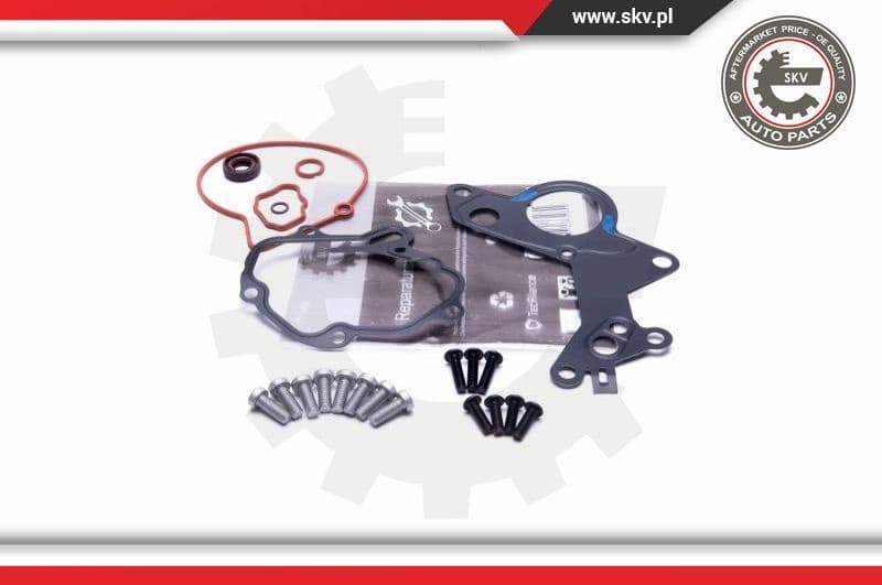 Repair Set, vacuum pump (braking system) 18SKV801