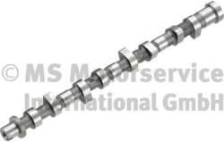 Camshaft 50007802