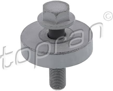 Pulley Bolt 701 616