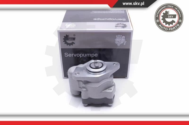 Hydraulic Pump, steering 10SKV299