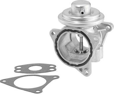 EGR valve 7496D/1 (BorgWarner (Wahler))
