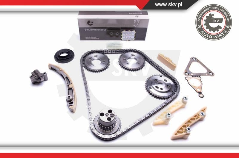 Timing Chain Kit 21SKV207