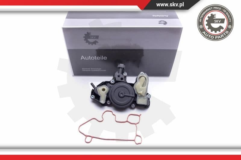 Oil Cooler, engine oil 31SKV175