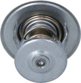 Thermostat, coolant 725253