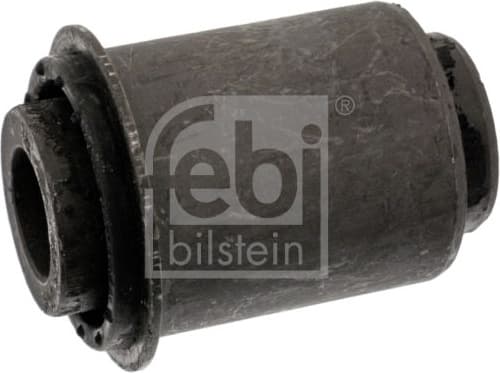 Mounting, control/trailing arm 43301