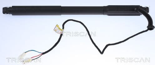 Gas Spring, boot/cargo area 8710 11304