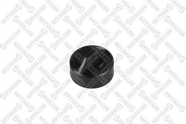 Sealing Cap, washer fluid reservoir 89-04613-SX