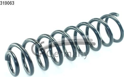 Suspension Spring 14319063