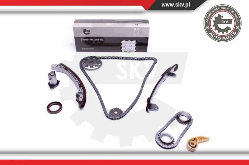 Timing Chain Kit 21SKV195