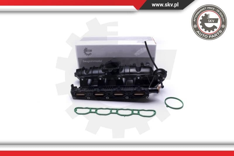 Intake Manifold Module 49SKV059