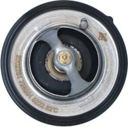Thermostat, coolant EASY FIT 725201