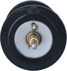 Thermostat, coolant 725250