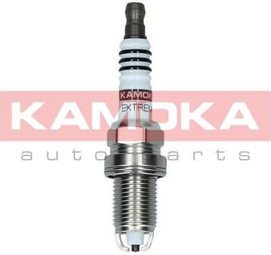 Spark plug 7100503
