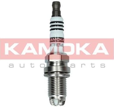 Spark plug 7090028