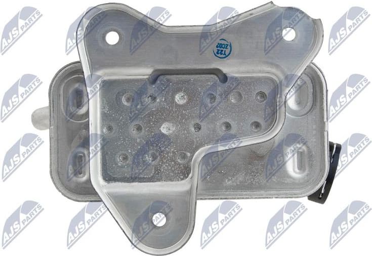 CCL-BM-042 - image 5