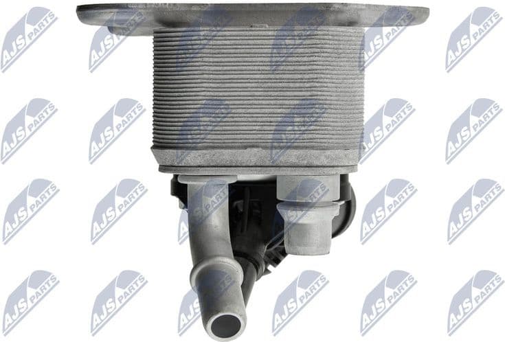 CCL-BM-042 - image 6