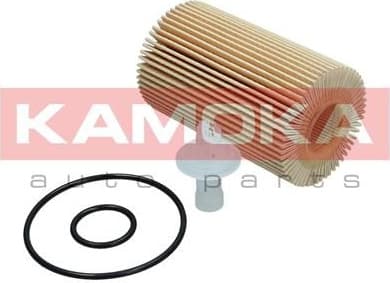 Oil Filter F116901 - image 6