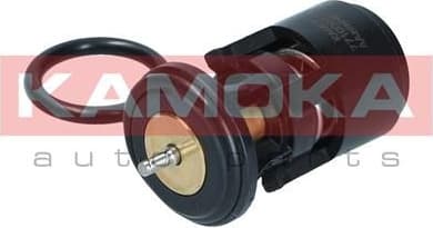 Thermostat, coolant 7710094 - image 3