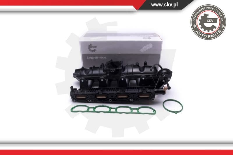 Intake Manifold Module 49SKV060