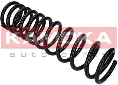 Suspension Spring 2120153 - image 9