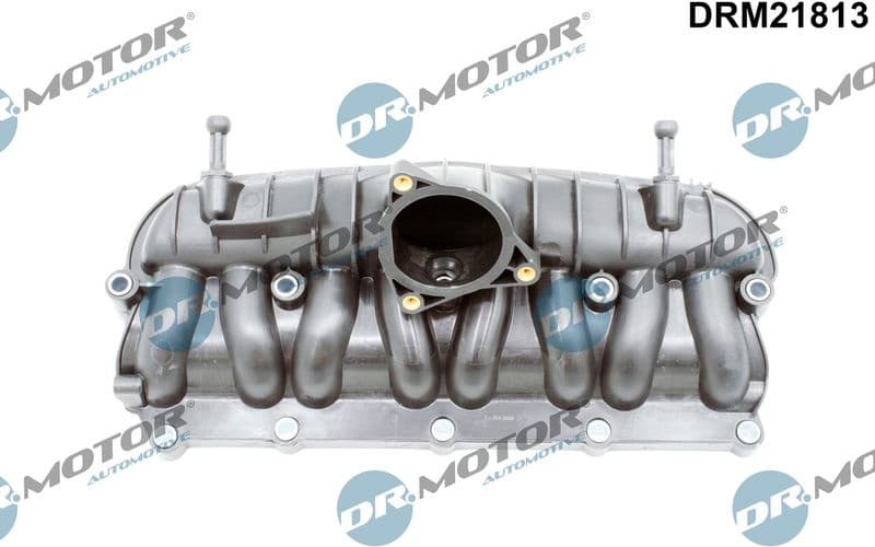 Intake Manifold Module DRM21813