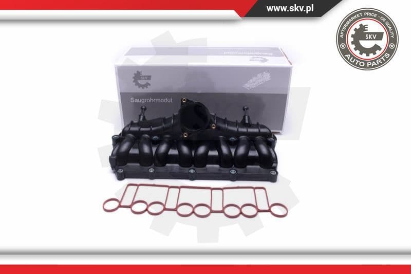 Intake Manifold Module 49SKV066