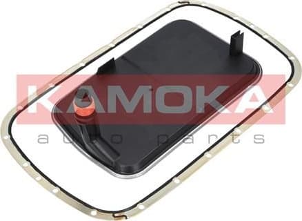 Hydraulic Filter Kit, automatic transmission F602101 - image 5