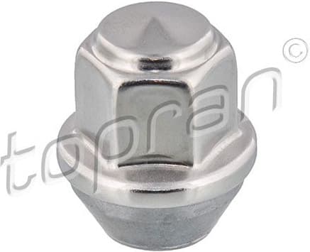 Wheel Nut 304 606