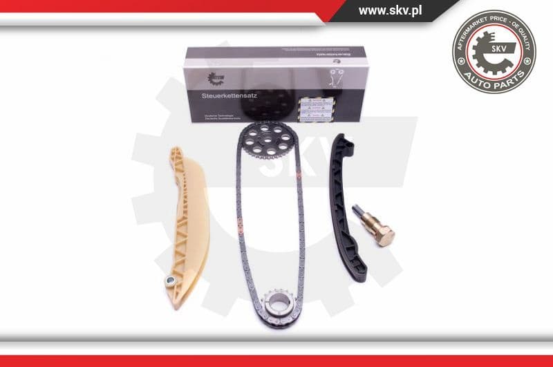 Timing Chain Kit 21SKV213