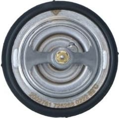 Thermostat, coolant 725268