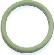 Seal Ring 585.200