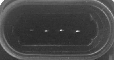 ritė, uždegimas - image 4