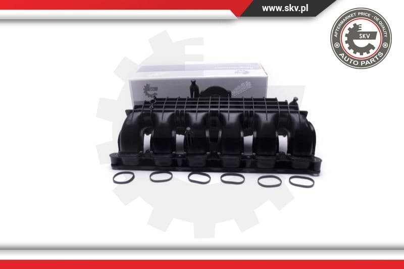 Intake Manifold Module 49SKV064
