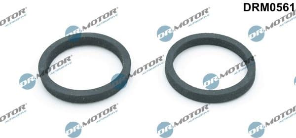 Gasket, oil cooler DRM0561