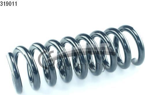 Suspension Spring 14319011