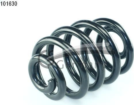 Suspension Spring 14101630