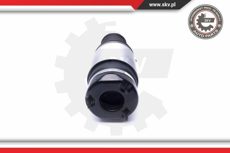 Air Suspension Strut 58SKV060 - image 2