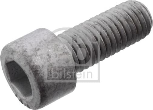 Axle Bolt, drive shaft 101234