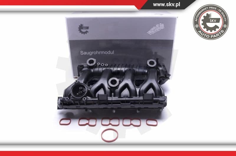 Intake Manifold Module 49SKV025