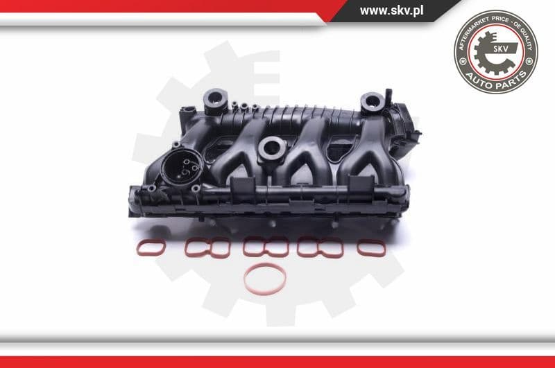 Intake Manifold Module 49SKV025 - image 2