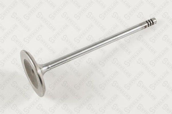 Intake Valve 01-24379-SX