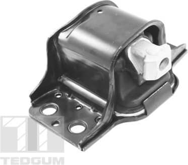 Mounting, engine TED42243