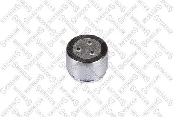 Piston, brake caliper 04-98369-SX