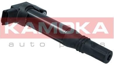 Ignition Coil 7120019