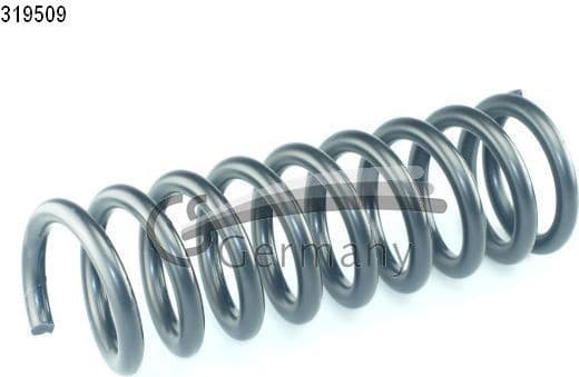 Suspension Spring 14319509