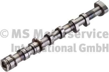Camshaft 50006098